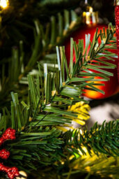 Christmas Tree World The 8Ft Pre-Lit Woodland Pine Tree With Hinged Branches - thumbnail 8