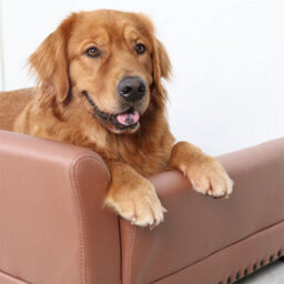 Bingopaw Xl Dog Bed Pu Leather Luxury Dog Sofa Fancy Couch Pet Animal Furniture,120X74X40Cm - thumbnail 3
