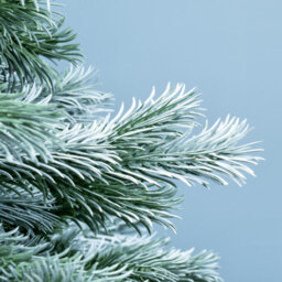 Christmas Tree World The 7Ft/210Cm Arbor Blue Pine Christmas Tree - thumbnail 8