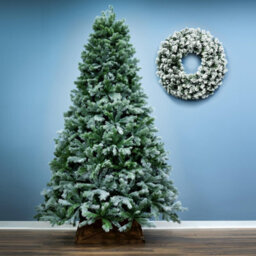 Christmas Tree World The 7Ft/210Cm Arbor Blue Pine Christmas Tree - thumbnail 2