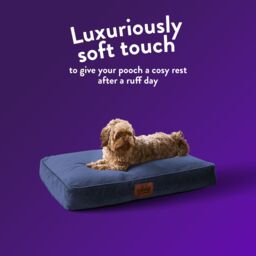 Slumberdown Navy Fabric Dog Bed Replacement Cover (W)70Cm (D)60Cm Medium - thumbnail 5
