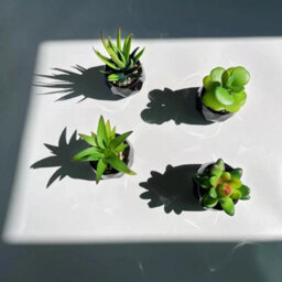 Artificial Indoor Plants In Black Ceramic Pots  Faux Desk Plant For Home  Office Decor - thumbnail 3
