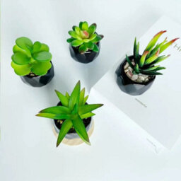 Artificial Indoor Plants In Black Ceramic Pots  Faux Desk Plant For Home  Office Decor - thumbnail 2