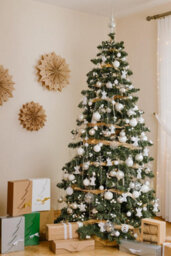 DWA Group Artificial Christmas Tree - Caucasian Fir 8Ft / 250Cm - thumbnail 7