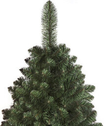 DWA Group Artificial Christmas Tree - Caucasian Fir 8Ft / 250Cm - thumbnail 2