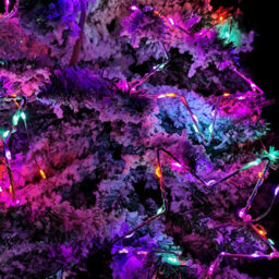 Samuel Alexander 2.6M Set Of 10 Star Curtain Lights 227 Rainbow Leds Microbrights String Lights - thumbnail 2