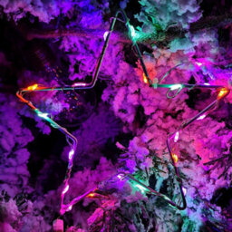 Samuel Alexander 2.6M Set Of 10 Star Curtain Lights 227 Rainbow Leds Microbrights String Lights - thumbnail 4