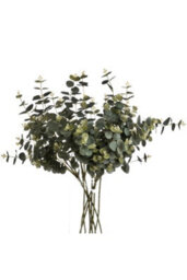 Authentic 70Cm Eucalyptus Spray, Realistic Australian Foliage For Decor - thumbnail 4