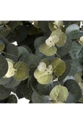 Authentic 70Cm Eucalyptus Spray, Realistic Australian Foliage For Decor - thumbnail 5