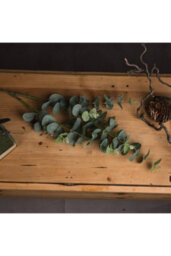 Authentic 70Cm Eucalyptus Spray, Realistic Australian Foliage For Decor - thumbnail 2
