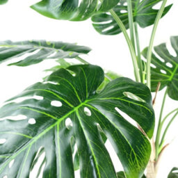 Leaf Artificial Monstera Plant 150Cm Luxury Cheese Plant Tall Gold Metal Planter - thumbnail 7