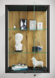 Vcm Wall Display Cabinet Hanging Display Cabinet Glass Udina M - thumbnail 4