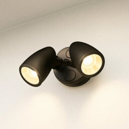 CGC Lighting Cgc Martha Ii Black Double Floodlight Led Outdoor - thumbnail 4