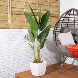 Alfresia Artificial Plant, Wide Leaf, Indoor Or Outdoor Use - thumbnail 2