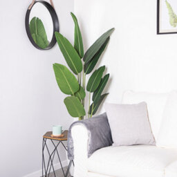 Alfresia Artificial Plant, Wide Leaf, Indoor Or Outdoor Use - thumbnail 3
