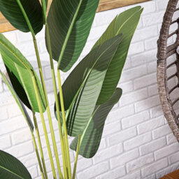 Alfresia Artificial Plant, Wide Leaf, Indoor Or Outdoor Use - thumbnail 4