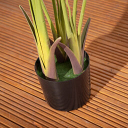 Alfresia Artificial Plant, Wide Leaf, Indoor Or Outdoor Use - thumbnail 5