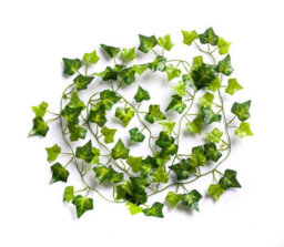 Best Artificial 7Ft - 210Cm English Ivy Garland String Strand Twine Decoration - Il03 - thumbnail 3