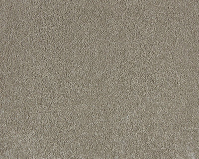 Soft Distinction Carpet By Remland (Limestone, 5M X 4M) - image 1