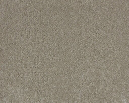 Soft Distinction Carpet By Remland (Limestone, 5M X 4M) - thumbnail 1
