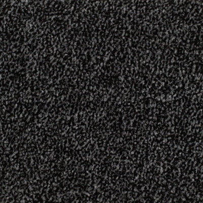 Remland Carrick Cove Bleach Cleanable Carpet (Charcoal, 1M X 4M) - image 1