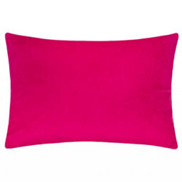 Paoletti Keela Cut Velvet Feather Rich Cushion - thumbnail 2