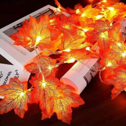 3M  20Led  Led Maple Leaf Battery Fairy Lights For Home And Outdoor Decor - thumbnail 1