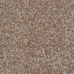 Remland Carrick Cove Bleach Cleanable Carpet (Beige, 2M X 4M) - thumbnail 1