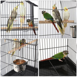 Yaheetech Black Triple Roof Rolling Bird Cage Metal Parrot Cage With Detachable Stand - thumbnail 8