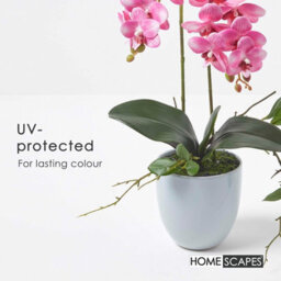 Homescapes Artificial Pink Phalaenopsis Orchid Plant In Ceramic Pot, 54 Cm Realistic Indoor Faux Flower - thumbnail 5