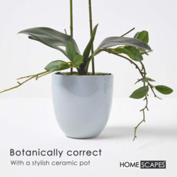 Homescapes Artificial Pink Phalaenopsis Orchid Plant In Ceramic Pot, 54 Cm Realistic Indoor Faux Flower - thumbnail 4