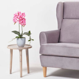 Homescapes Artificial Pink Phalaenopsis Orchid Plant In Ceramic Pot, 54 Cm Realistic Indoor Faux Flower - thumbnail 7