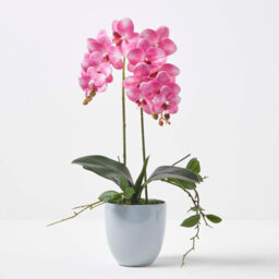 Homescapes Artificial Pink Phalaenopsis Orchid Plant In Ceramic Pot, 54 Cm Realistic Indoor Faux Flower