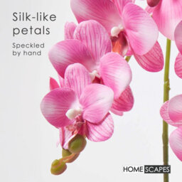 Homescapes Artificial Pink Phalaenopsis Orchid Plant In Ceramic Pot, 54 Cm Realistic Indoor Faux Flower - thumbnail 3