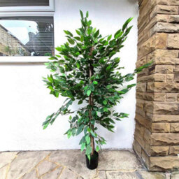 5Ft Artificial Banyan Tree 150Cm With 1008 Green Leaves & Black Pot - thumbnail 1