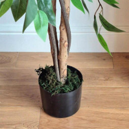 5Ft Artificial Banyan Tree 150Cm With 1008 Green Leaves & Black Pot - thumbnail 5