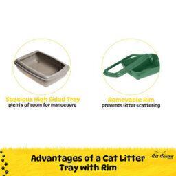 Cat Centre.Direct Cat Centre Jumbo Open Litter Tray With Scoop And X2 0.3L Smarty Bowls In Dark Blue - thumbnail 2
