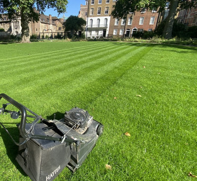 Boston Seeds Bs Quality Hard Wearing Lawn Seed (5 X 20Kg) - image 1