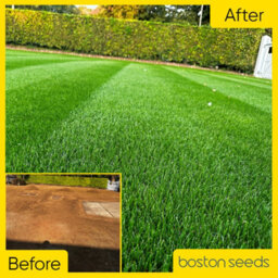Boston Seeds Bs Quality Hard Wearing Lawn Seed (5 X 20Kg) - thumbnail 6