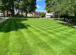 Boston Seeds Bs Quality Hard Wearing Lawn Seed (5 X 20Kg) - thumbnail 9