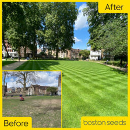 Boston Seeds Bs Quality Hard Wearing Lawn Seed (5 X 20Kg) - thumbnail 4