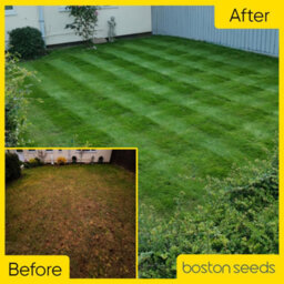 Boston Seeds Bs Quality Hard Wearing Lawn Seed (5 X 20Kg) - thumbnail 5