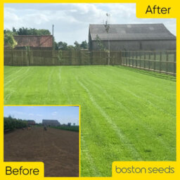 Boston Seeds Bs Quality Hard Wearing Lawn Seed (5 X 20Kg) - thumbnail 7