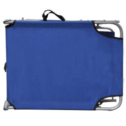 Berkfield Folding Sun Lounger With Canopy Blue Aluminium - thumbnail 4