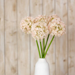 Wyld Haus Set Of 3 Pink Giant Allium Artificial Flower Stems 900mm Tall - thumbnail 4