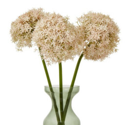 Wyld Haus Set Of 3 Pink Giant Allium Artificial Flower Stems 900mm Tall - thumbnail 2
