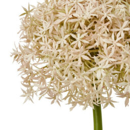 Wyld Haus Set Of 3 Pink Giant Allium Artificial Flower Stems 900mm Tall - thumbnail 3