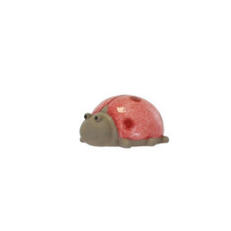 Terrastyle Pink, Grey Resin Ladybird Garden Ornament (H)9.5Cm (W)17.5Cm