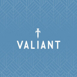 Valiant Vanquish Stove Fan And Magnetic Thermometer - thumbnail 9
