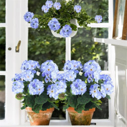 1 Artificial Flower For Outdoor Decoration, Silk Geranium, Fake Plant For Wedding Table Decoration, Garden, Home, Blue - thumbnail 7